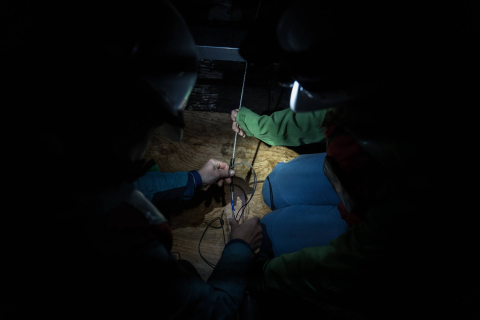 Crédito: AP Photo/Annika Hammerschlag