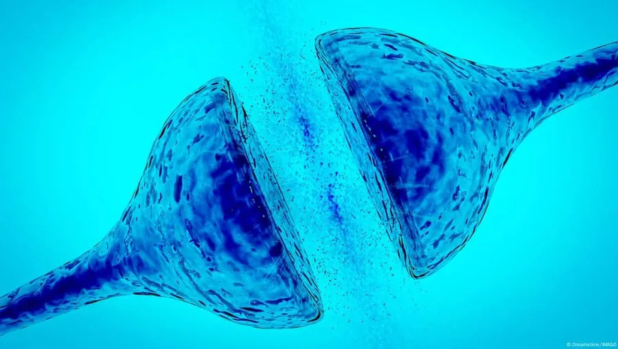 Crédito: Dreamstime/IMAGO