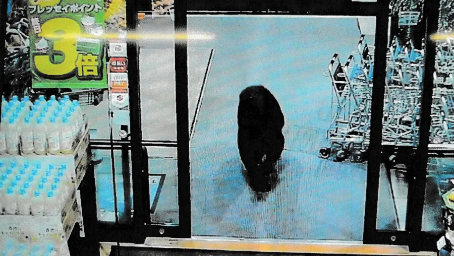 Prefectura de Gunma/AFP