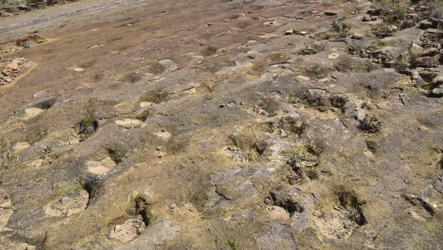 Crédito: Getty Images