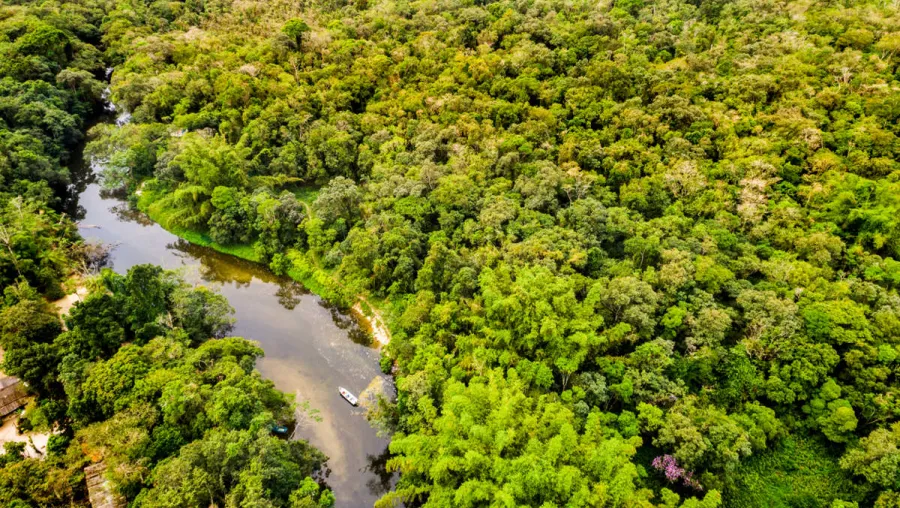 Crédito: Getty Images