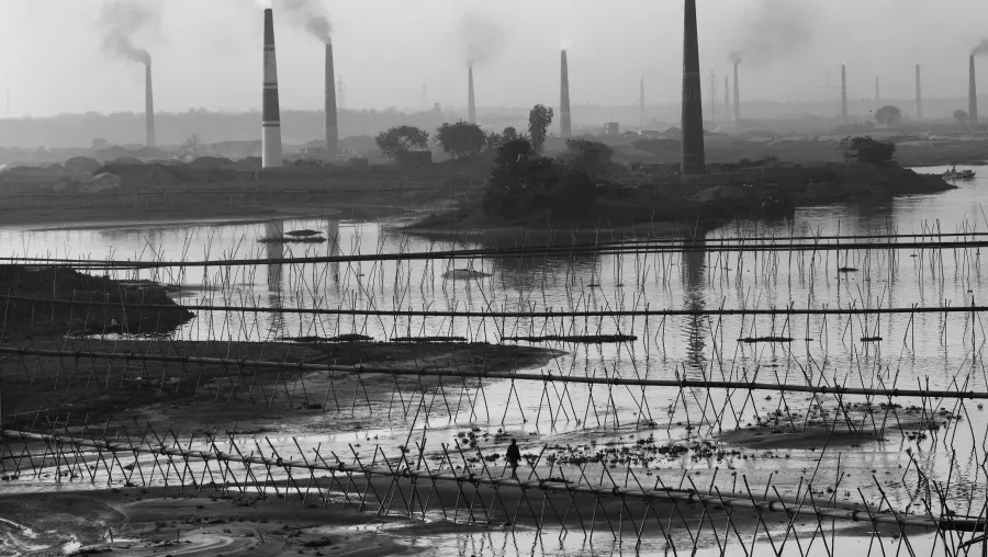 Crédito: Ariful Haque/Pexels