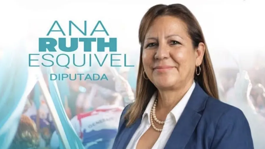 diputada en publicidad