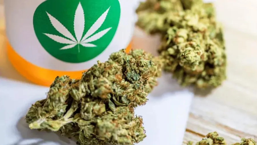 cannabis