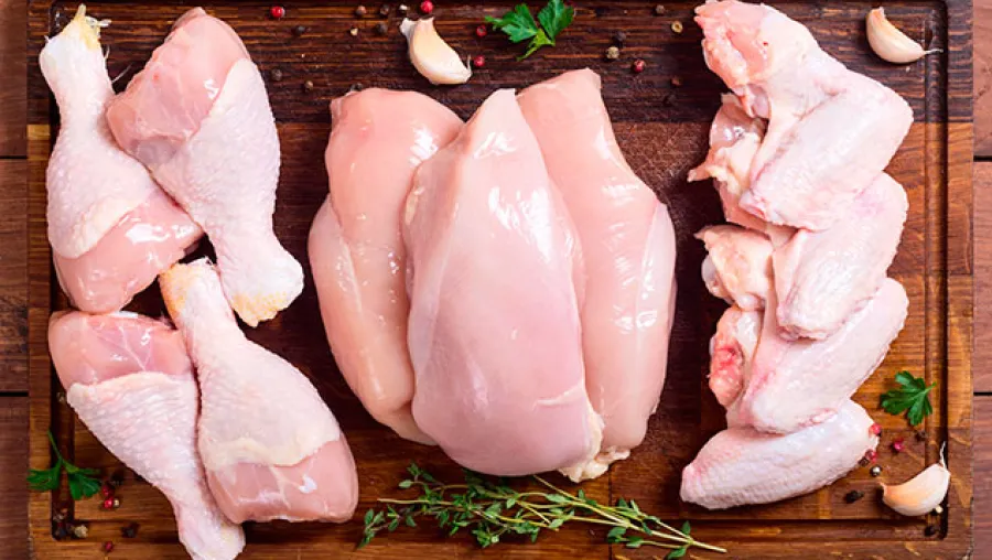 pollo